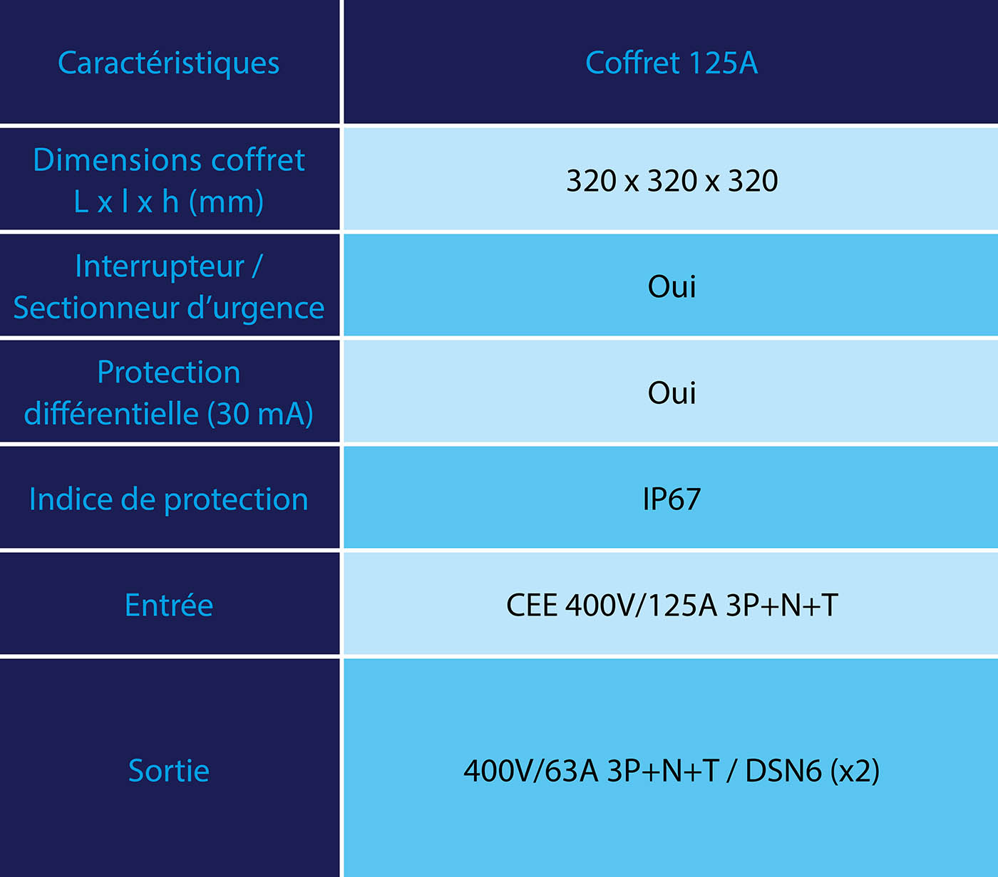 Coffret de distribution électrique 125A